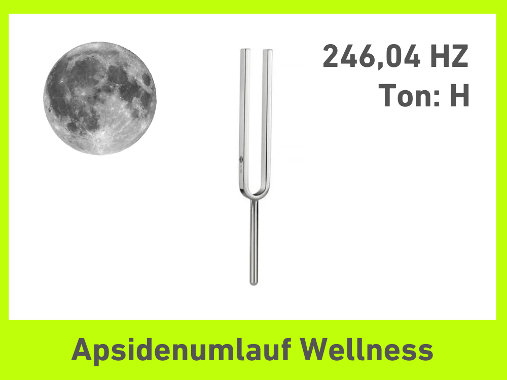 Tuning fork apsidal circulation Wellness 246.04 Hz | Item No. KO 246/7