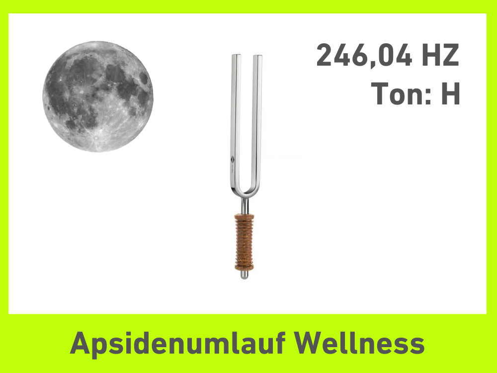 Tuning fork apsidal circulation Wellness 246.04 Hz | Item No. KO 246/7