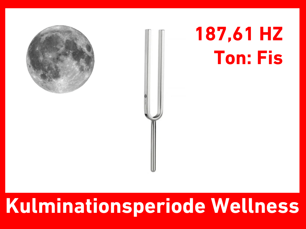 Tuning fork culmination period wellness 187.61 Hz | Item no. KO 187/7