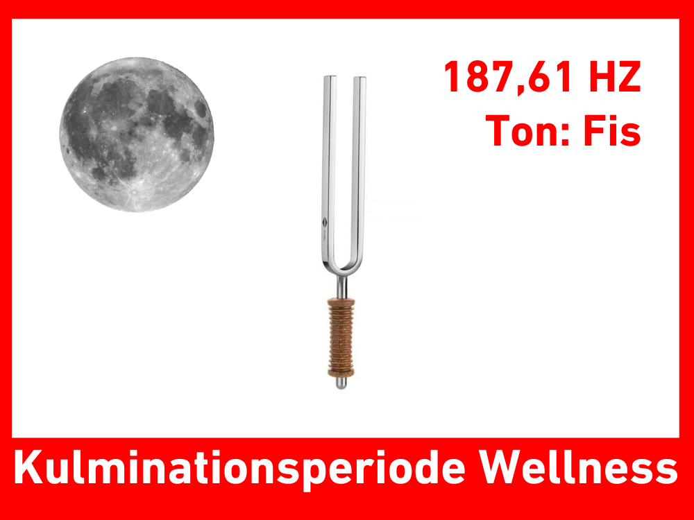 Tuning fork culmination period wellness 187.61 Hz | Item no. KO 187/7