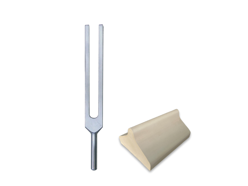 Tuning fork Saros period 241.56 Hz | Item No. KO 241